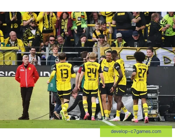 从小镇奇迹到德甲劲旅霍芬海姆1899俱乐部崛起之路