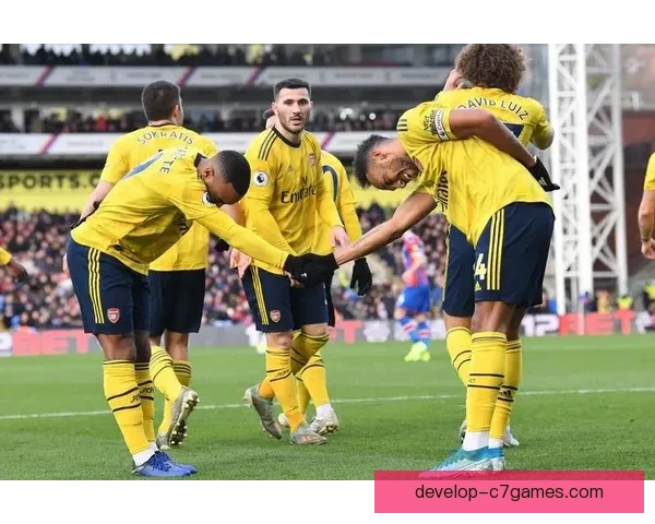 北京足球联赛参赛球队全景解析与赛季战绩展望