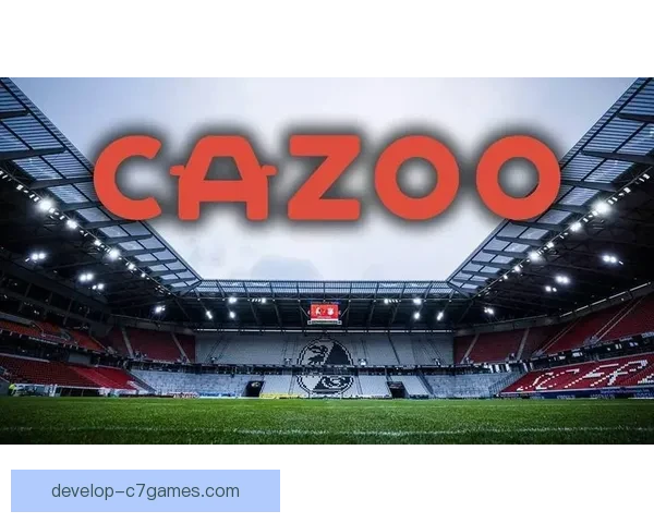 弗赖堡足球俱乐部的崛起与发展：德国足球的亮丽风景线